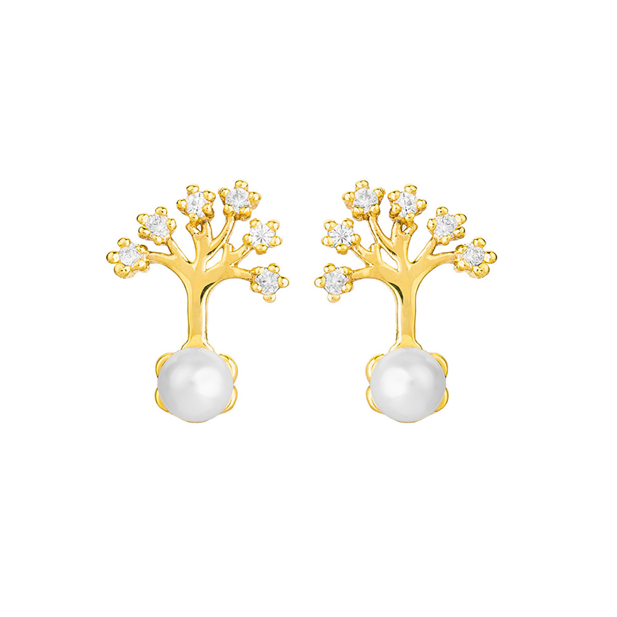 درخت مروارید