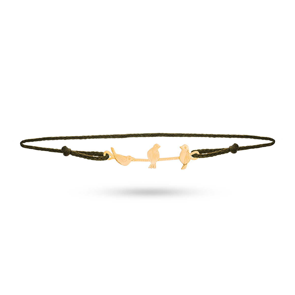 گنجشک روی شاخه